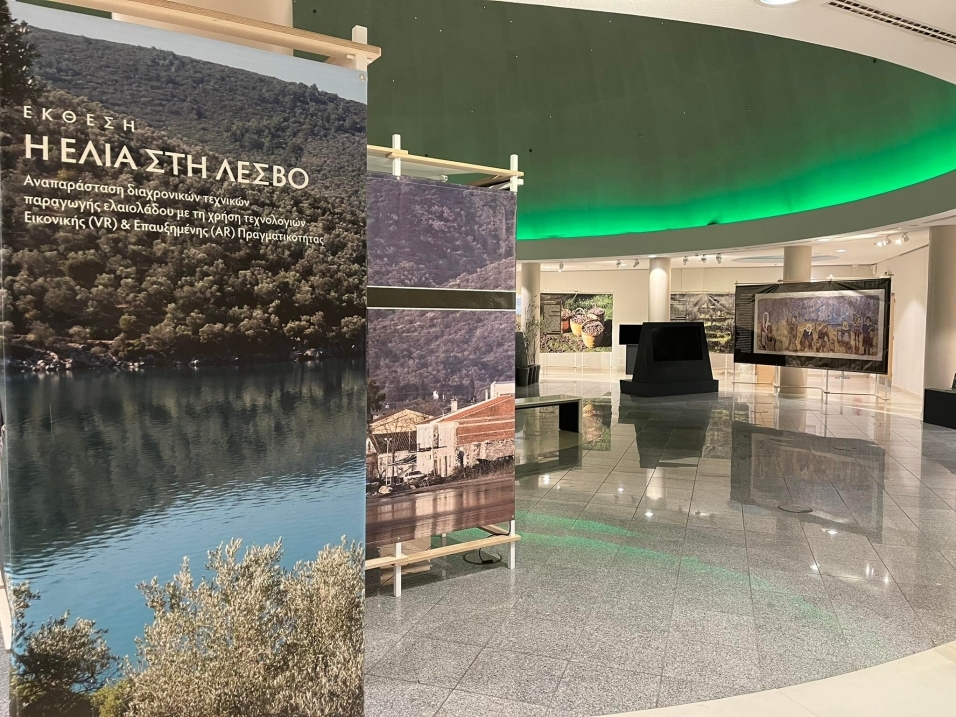 Η-Ελιά-στη-Λέσβο-Ίδρυμα-Ευγενίδου-4.jpg?mtime=20221027212013#asset:380620