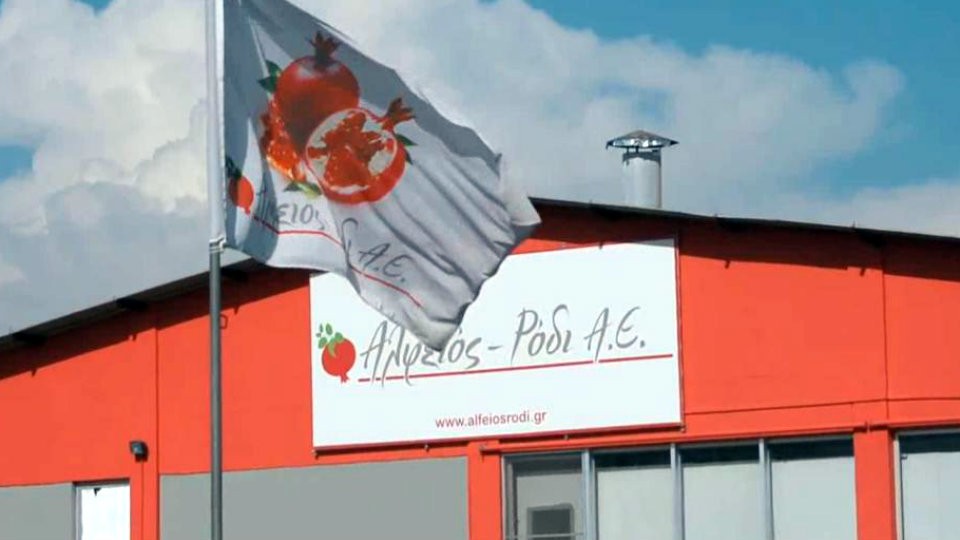 ΚΕΤΕΚ-Τρίπολης-25.jpg?mtime=20180928211014#asset:99678