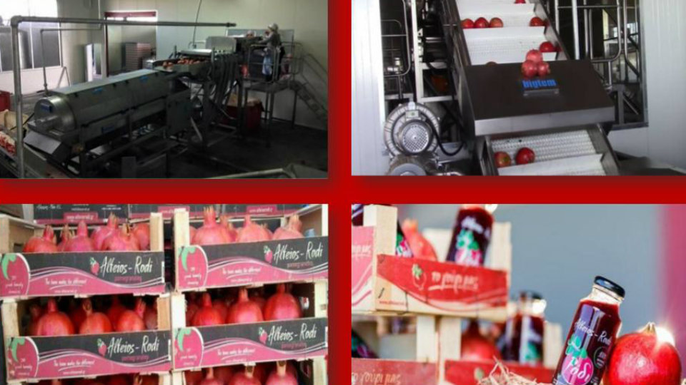 ΚΕΤΕΚ-Τρίπολης-25_2.jpg?mtime=20180928212115#asset:99679