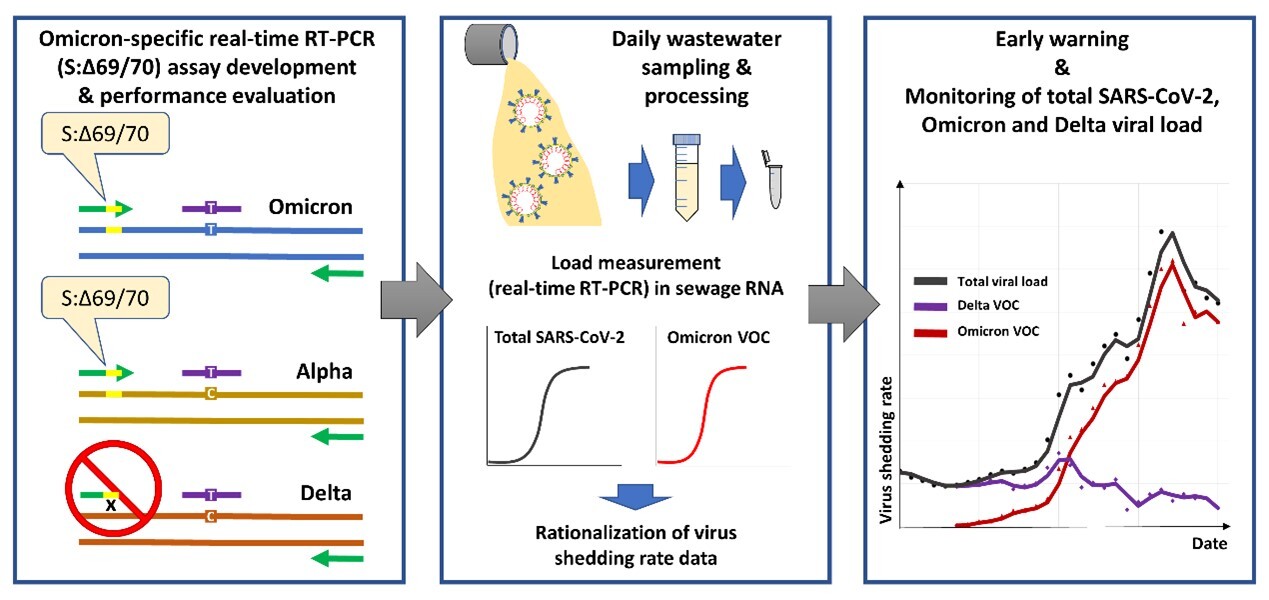 Σχημα_2.jpg?mtime=20220727122359#asset:363889