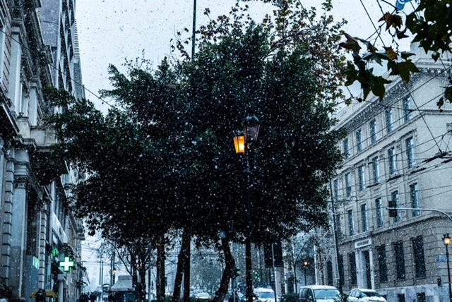 Χ.-Ακριθάκη_Silence-in-the-city_75x100.jpg?mtime=20240207205206#asset:460408