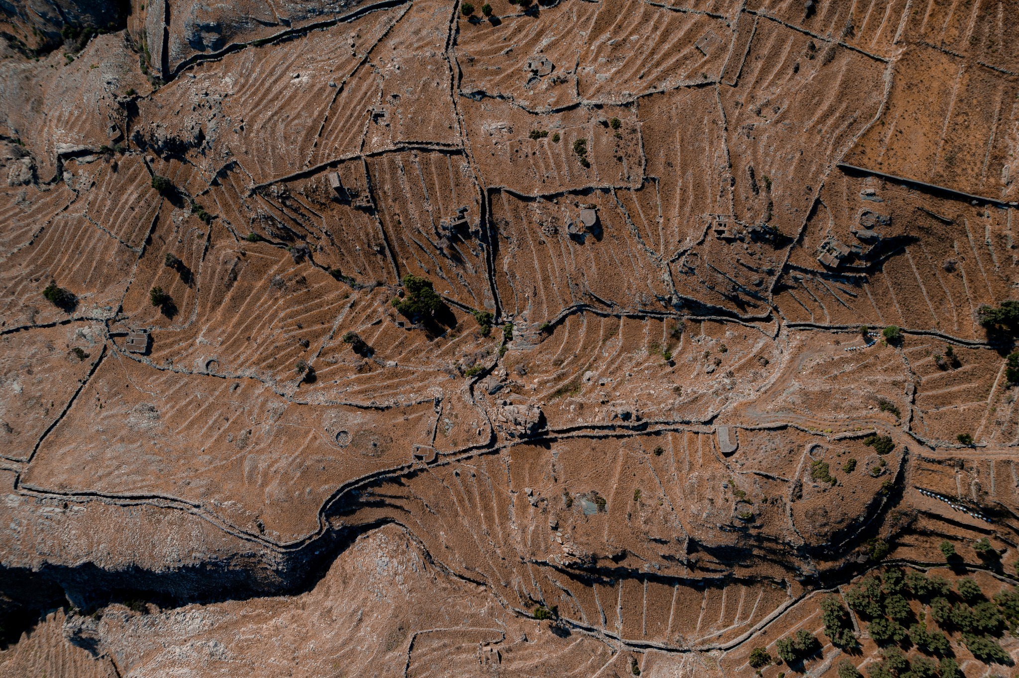 ανdros.jpg?mtime=20250625152308#asset:554077