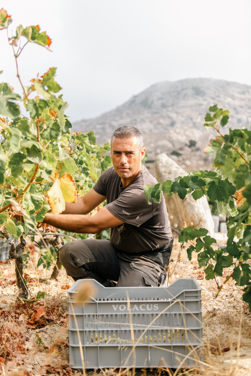 011-Μιχάλης-Κοντιζάς.jpg?mtime=20250729124819#asset:559870