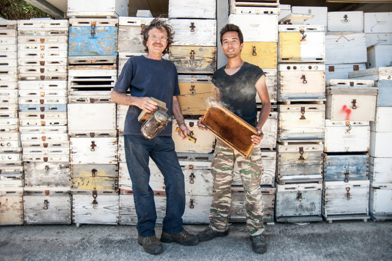 09-μελι-πυργος.jpg?mtime=20250729124953#asset:559871