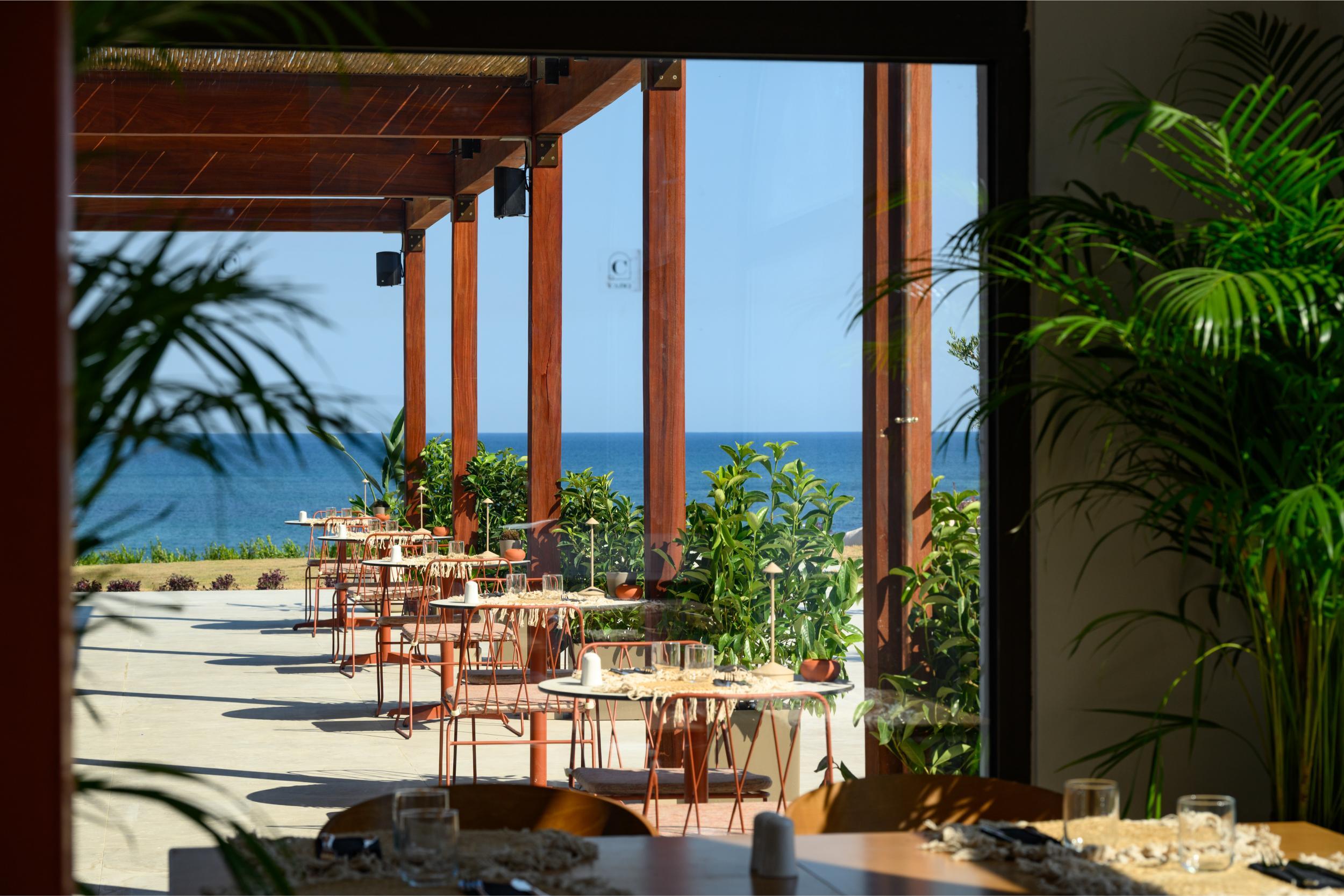 Cabo_Cornucopia.jpg?mtime=20250718103750#asset:558151