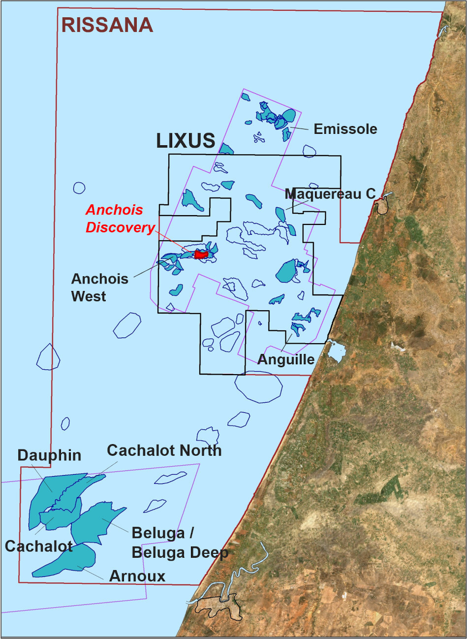 Lixus-_Rissana_maroco.jpg?mtime=20231207110402#asset:450416