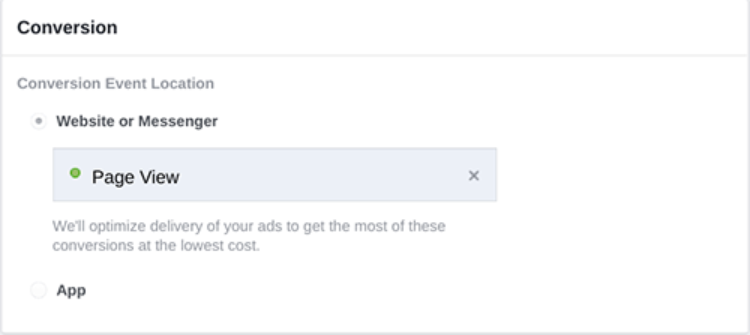 Facebook-Ads_conversion-campaigns.png?mtime=20170805151325#asset:59136:freeHeight