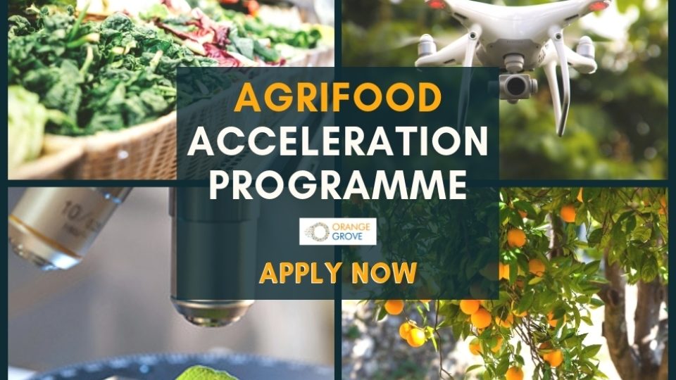 Νέο πρόγραμμα επιχειρηματικής επιτάχυνσης AgriFood από το Orange Grovε