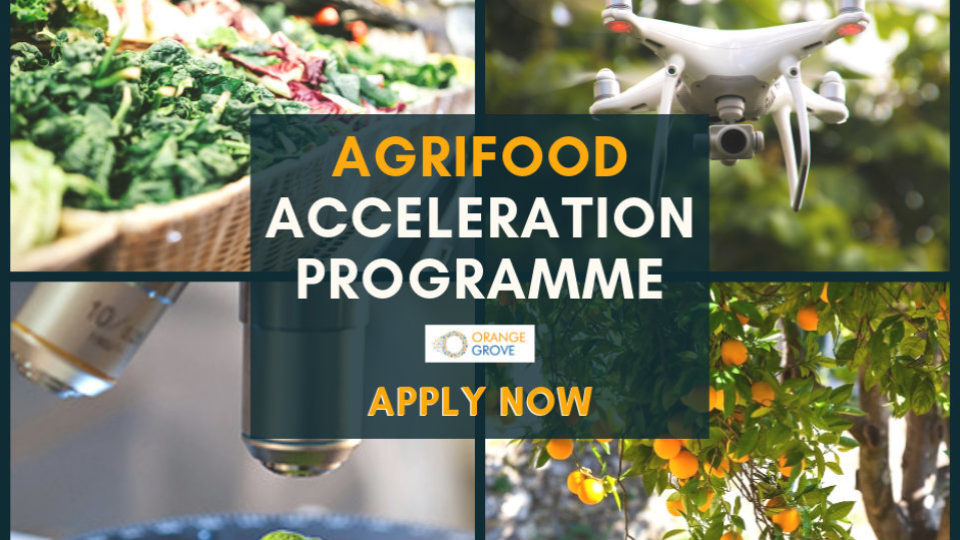 Orange Grove: Νέο πρόγραμμα Επιχειρηματικής Επιτάχυνσης στη Διατροφή και την Αγρο-Τεχνολογία