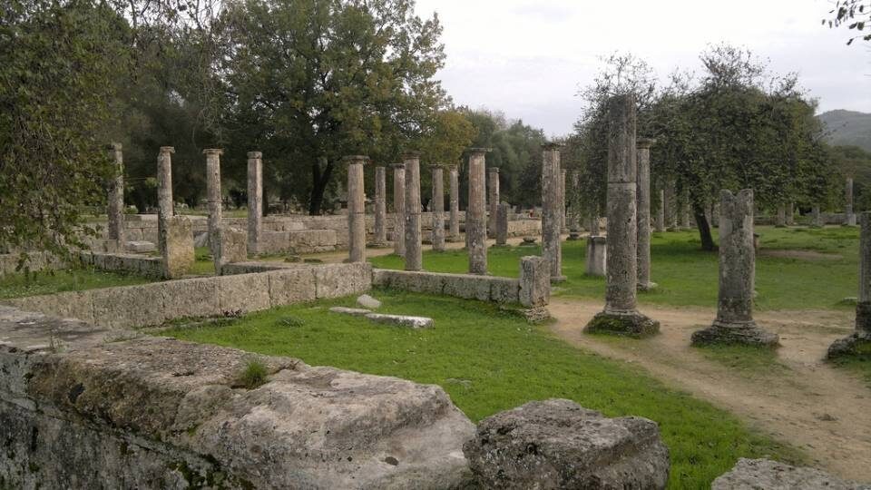 ΕΥ Ελλάδος: Δωρεά για την αναφύτευση 1.750 ελαιόδεντρων στην Αρχαία Ολυμπία