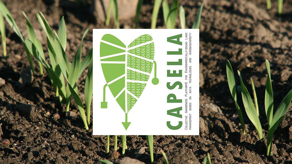 Capsella Acceleration Programme: Ένα ολοκληρωμένο πρόγραμμα για την ανάπτυξη καινοτόμων λύσεων για τον αγροδιατροφικό τομέα
