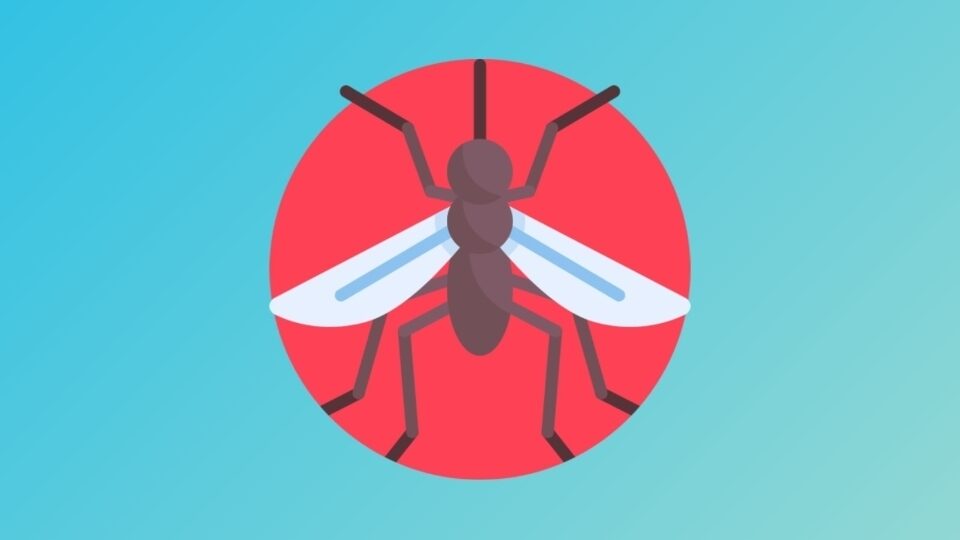 Δωρεάν ελληνικές εφαρμογές απώθησης κουνουπιών και κατσαρίδων μέσω ήχου