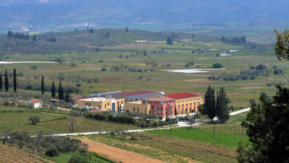 H Mindhaus στρατηγικός συνεργάτης της οινοποιίας Λαφαζάνης