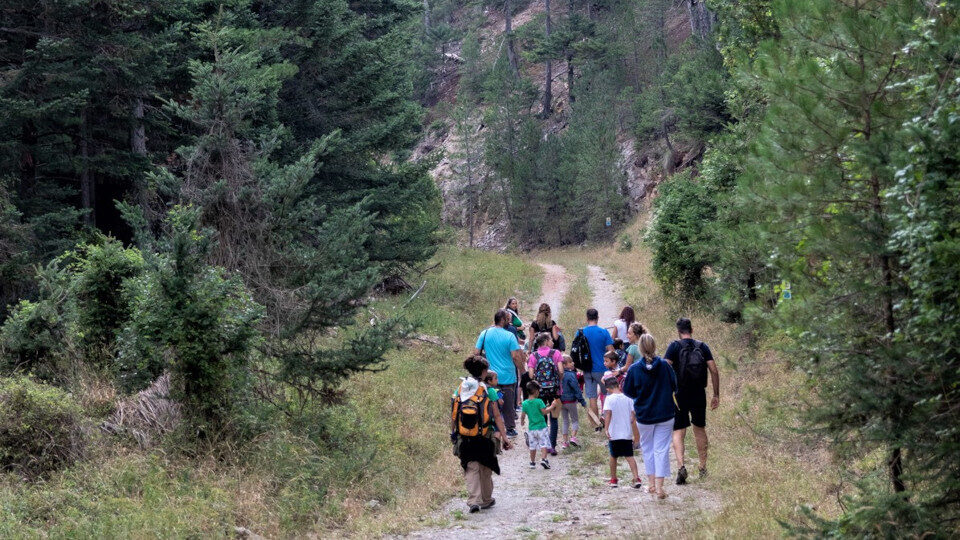 Τα Special Olympics Hellas στη Βαμβακού, με την υποστήριξη του Δ. Σπάρτης και του ΙΣΝ