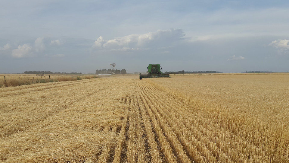 Διαγωνισμός Agroinnoeco με έπαθλο pre-incubation διάρκειας τριών μηνών