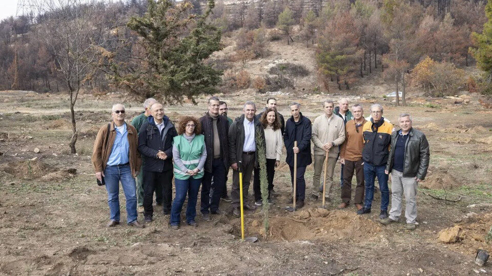 Την αναδάσωση της Ιεράς Μονής Πεντέλης ξεκίνησε η Nova