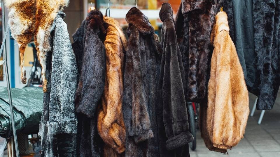 Η Dolce & Gabbana καταργεί τη γούνα από ζώα υπέρ μιας «οικολογικής» εναλλακτικής