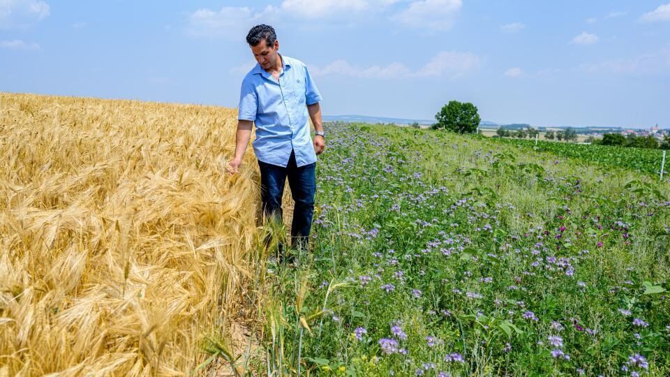 Bayer: «Μεταμόρφωση» της βιομηχανίας τροφίμων μέσω της καινοτομίας στη γεωργία