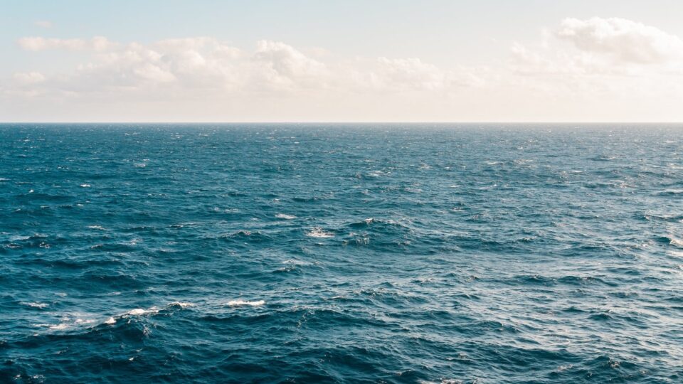 Α.Π.Θ.: Μελέτη Σκοπιμότητας για τη Μαύρη Θάλασσα