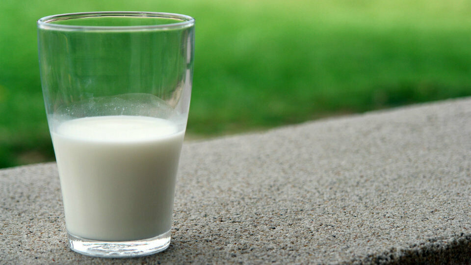 Σε ισχύ νέα μέτρα ελέγχου της αγοράς γάλακτος - Αυστηρές κυρώσεις για τους παραβάτες