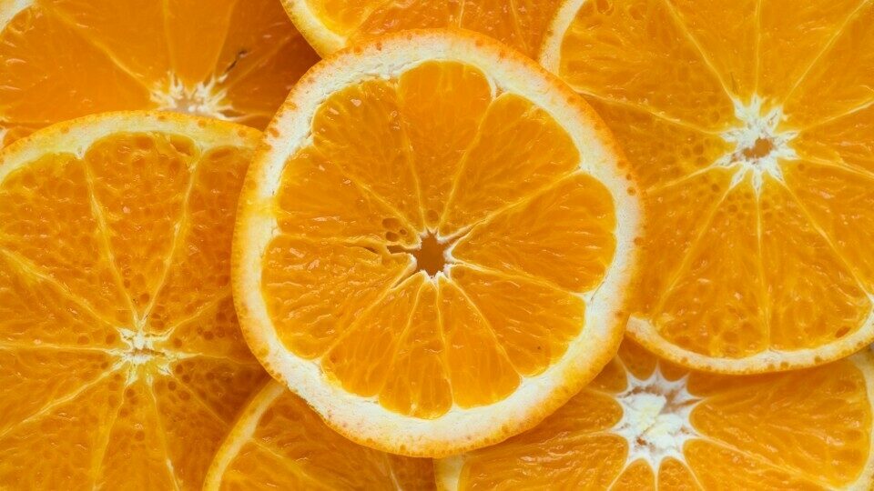 The Squeeze: Ο pitching διαγωνισμός για agrifood startups έρχεται στις 14 Μαΐου