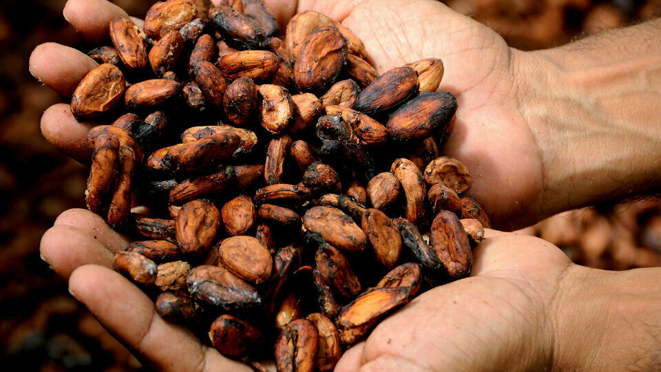 Mondelez International: 600 εκατ. δολ. για την επόμενη φάση του Cocoa Life