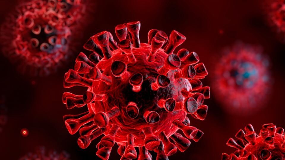 ΗΠΑ: Επιστήμονες ανακάλυψαν αντίσωμα που «εξουδετερώνει» τον ιό COVID-19