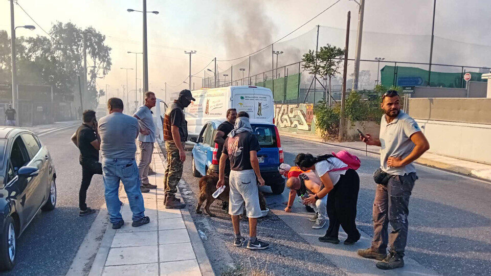 Συνεχίζονται οι επιχειρήσεις του ΔΙΚΕΠΑΖ για τη διάσωση ζώων στην φλεγόμενη Αττική