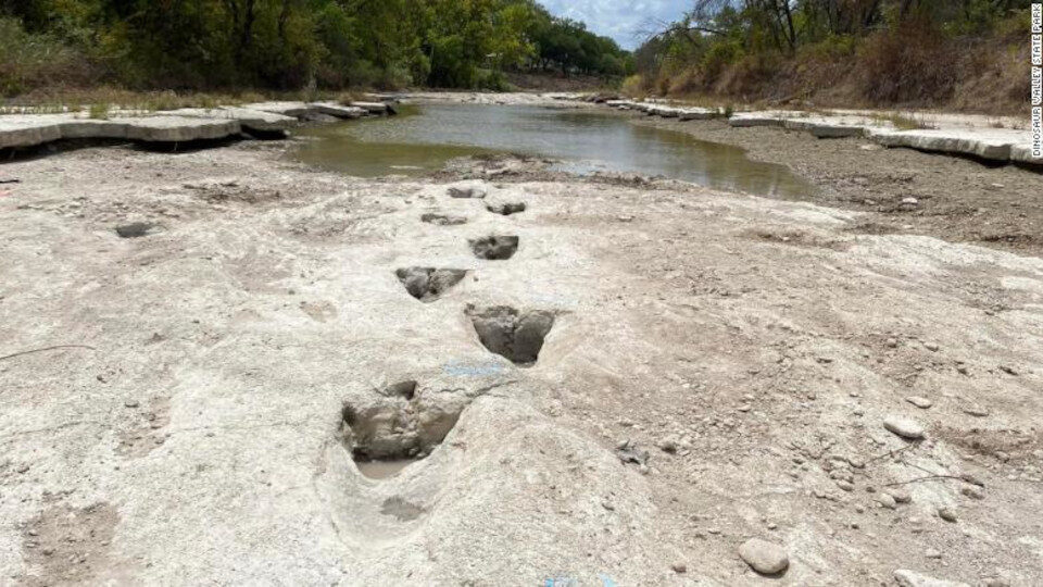 ΗΠΑ: Ίχνη δεινοσαύρων ηλικίας 113 εκατ. ετών αποκάλυψε η ξηρασία στο κρατικό πάρκο Dinosaur Valley