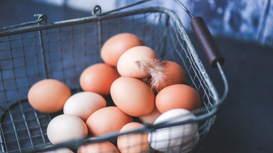 Συνεργασία ΥΠΑΑΤ - ΕΛΓΟ-Δήμητρα για καταγραφή στο «Άρτεμις» επιχειρήσεων εμπορίας αυγών