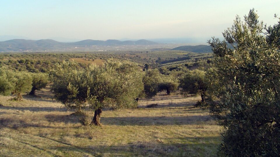 Αγροδιατροφική εκπαίδευση στη Χαλκιδική με την υποστήριξη του Ομίλου Sani Resort/Ikos Resorts