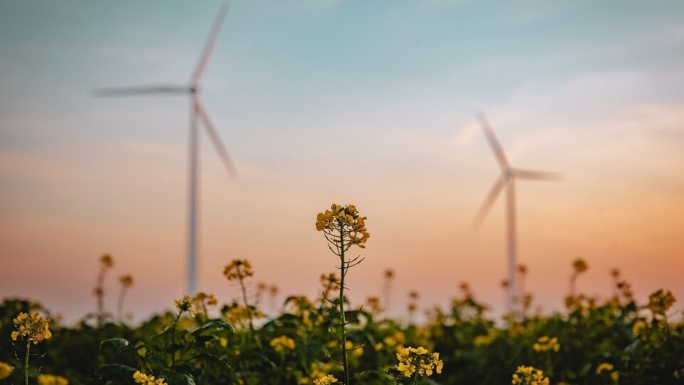 Η Enel Green Power πρωτοπόρος στην προστασία του περιβάλλοντος και στην πράσινη μετάβαση