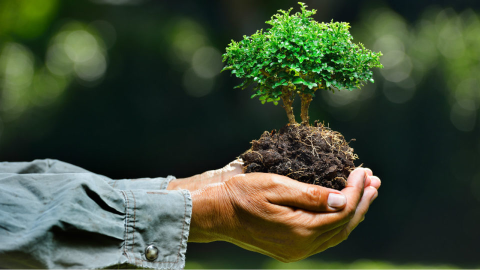 Το Carbon Farming Awareness Hub στην Ιταλία για αξιολόγηση της προόδου του