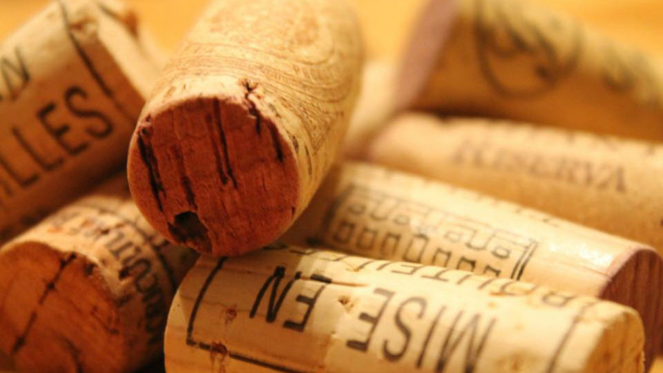 ReChen: Μια νεοφυής επιχείρηση από 17χρόνους επιχειρηματίες επιχειρηματίες ανακυκλώνει πώματα κρασιού από φελλό
