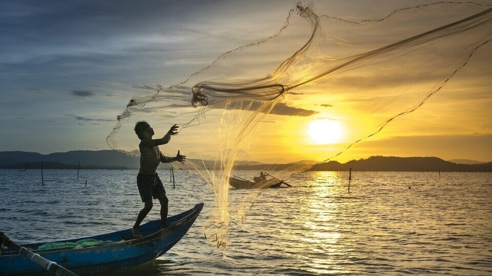 ΕΕΣ: Στα «δίχτυα» της παράνομης αλιείας: τα κράτη μέλη χρειάζονται εντονότερες προσπάθειες για να ξεφύγουν