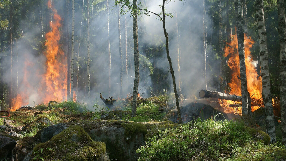 Η ΕΕ κινητοποιεί 370 άτομα άμεσης επέμβασης για την καταπολέμηση των πυρκαγιών