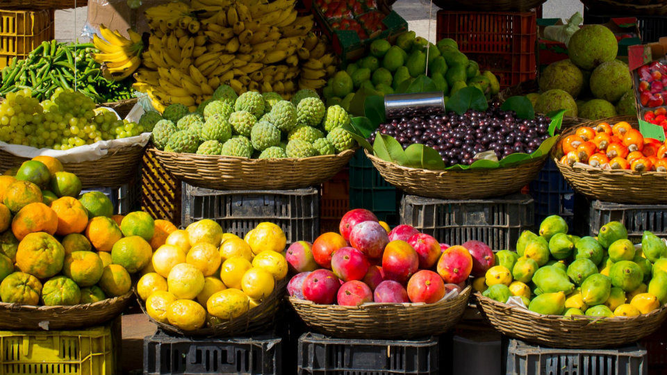 Με έξι επιχειρήσεις εκπροσωπήθηκε η Ελλάδα στη Διεθνή Έκθεση φρούτων και λαχανικών Asia Fruit Logistica