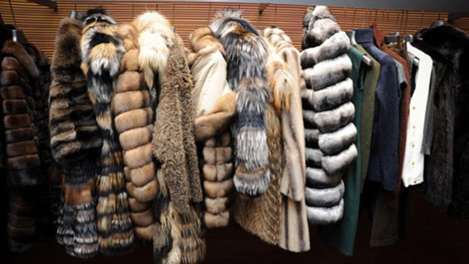 Μεγάλη κάμψη των εξαγωγών ειδών από γούνα λόγω της υποτίμησης στο ρούβλι