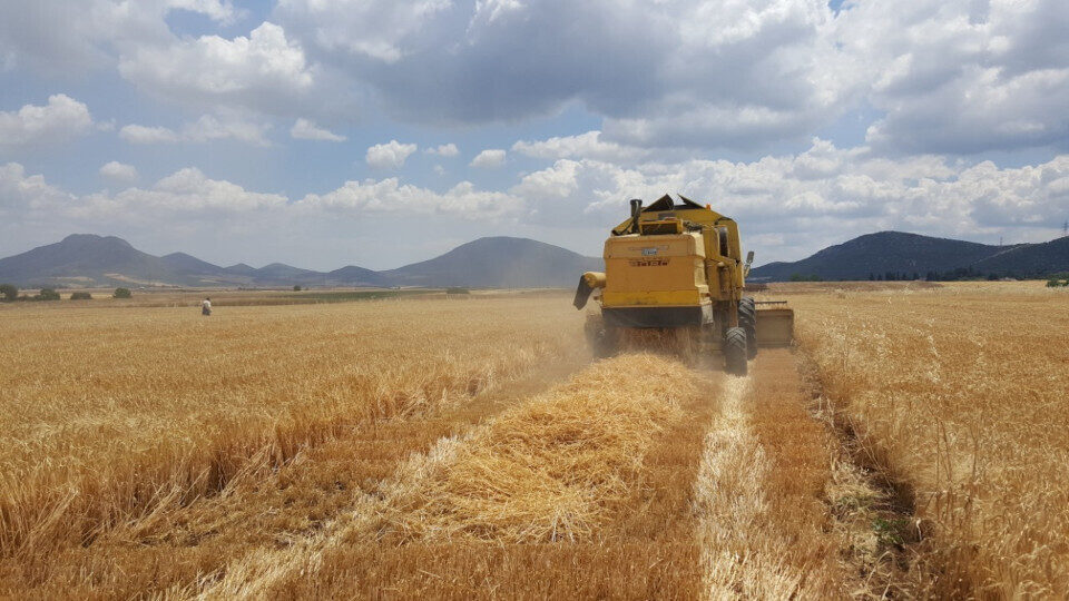 Agrifood Exports 360o: Για 4η χρονιά το πρόγραμμα για τις εξαγωγές αγροδιατροφικών προϊόντων