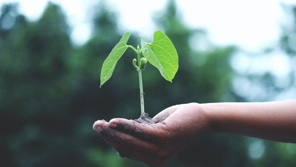 GreenTecLab: Ενδυνάμωση νεοσύστατων επιχειρήσεων για την προστασία του κλίματος