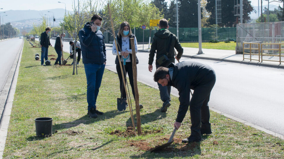 Πρωτοβουλία «75UN – 75 Trees UNAI SDG7»: Με τη συμμετοχή 44 δήμων η 1η Τηλε-διάσκεψη