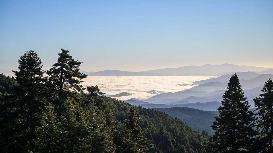 Όταν η επιχειρηματικότητα ταυτίζεται με τη φύση