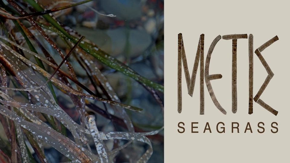 Νέο υλικό με πρώτη ύλη τα ξερά φύκια από την Metis Seagrass