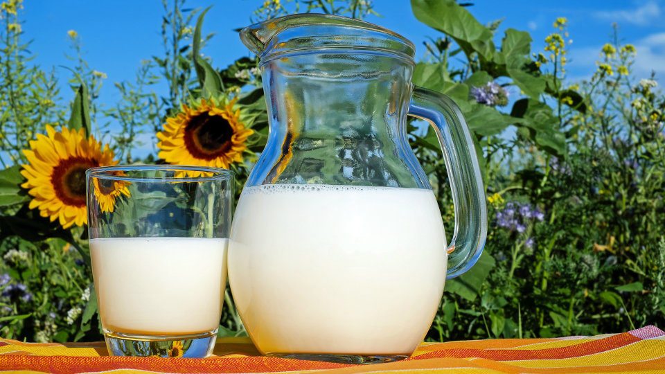 Υπό εξέταση η παράταση της δέσμευσης Δέλτα - Μεβγάλ για τις αγορές γάλατος