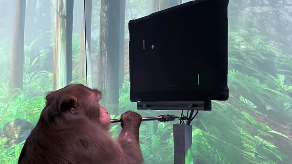 Η Neuralink δείχνει πίθηκο να παίζει video games με το μυαλό του [video]