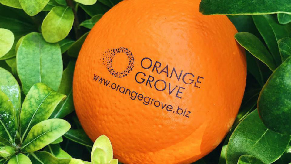 Έρχεται η 11η έκδοση του The Squeeze από το Orange Grove για να αναδείξει 2 φιλόδοξους επιχειρηματίες
