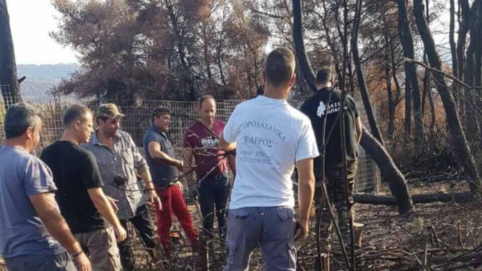 Σε εξέλιξη τα έργα αποκατάστασης των πυρόπληκτων περιοχών στην Εύβοια