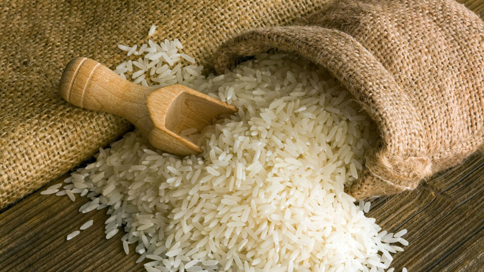 Εκδήλωση για την προώθηση της βιώσιμης παραγωγής ρυζιού στην Ελλάδα και την Ισπανία