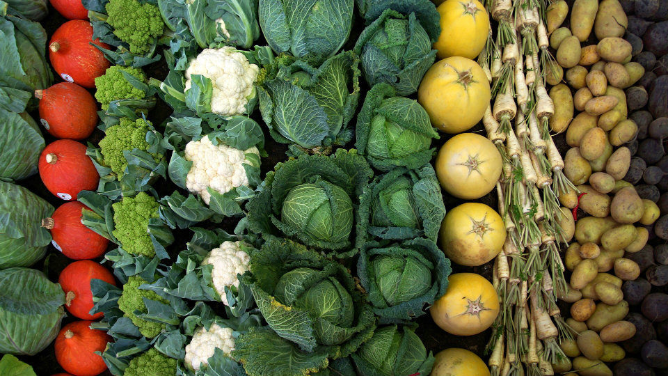 Διεθνής Έκθεση για την προώθηση φρούτων και λαχανικών για επαγγελματίες