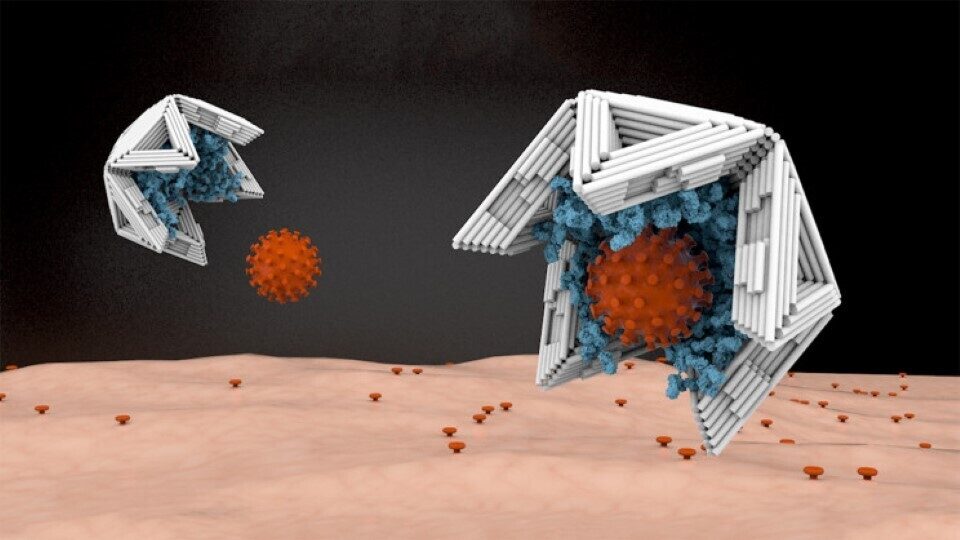 «DNA Origami»: Νέα τεχνολογία παγίδευσης ιών τους εξουδετερώνει πριν μολύνουν
